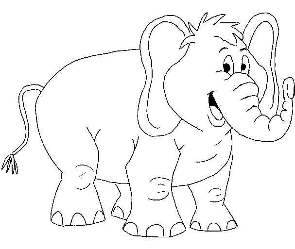 elephant_lephynancier